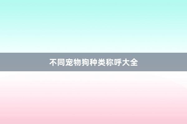 不同宠物狗种类称呼大全